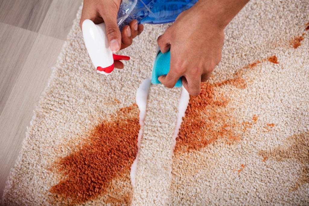 Elevated View Of A Janitor Cleaning Stain On Carpet With Sponge