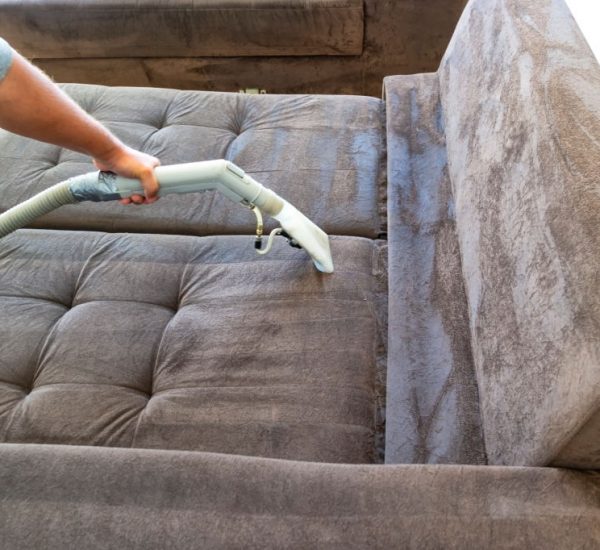 Photo of a person cleaning a sofa.